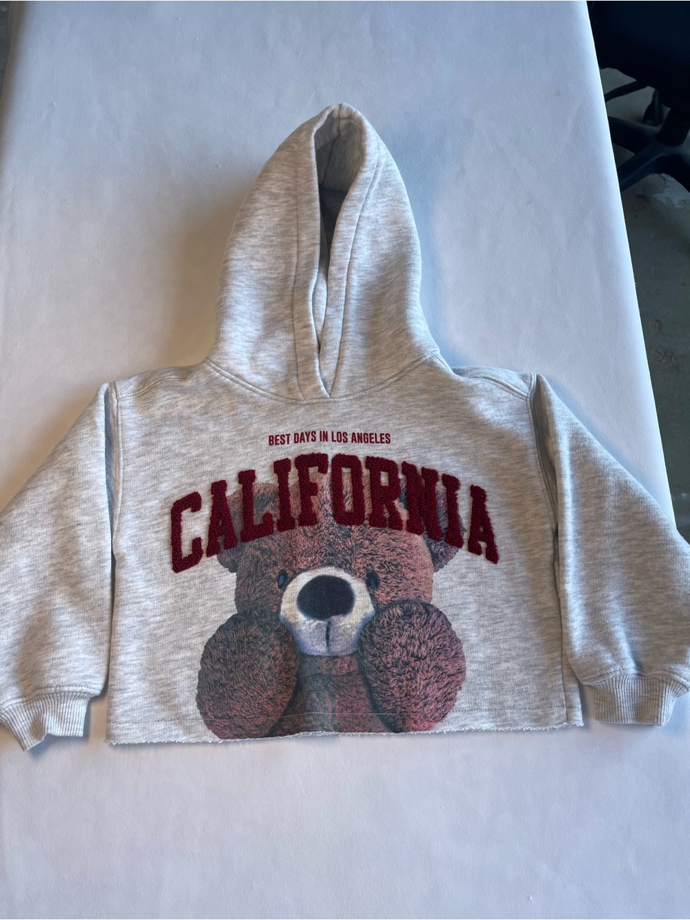 Zara Gray Hoodie with Burgundy "California" & Teddy Bear Print